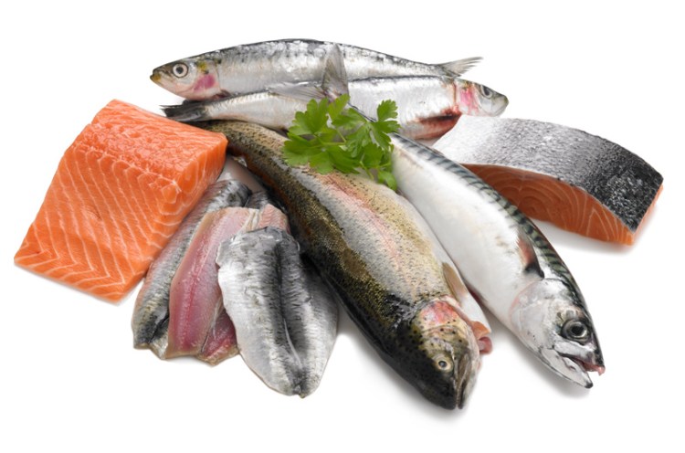 fish